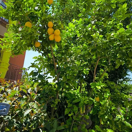 Casa Palma 22 Hébergement de vacances Montesilvano Marina