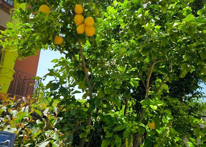 Casa Palma 22 Prázdninový dům Montesilvano Marina