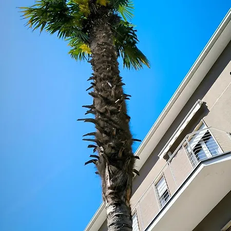 Casa Palma 22
